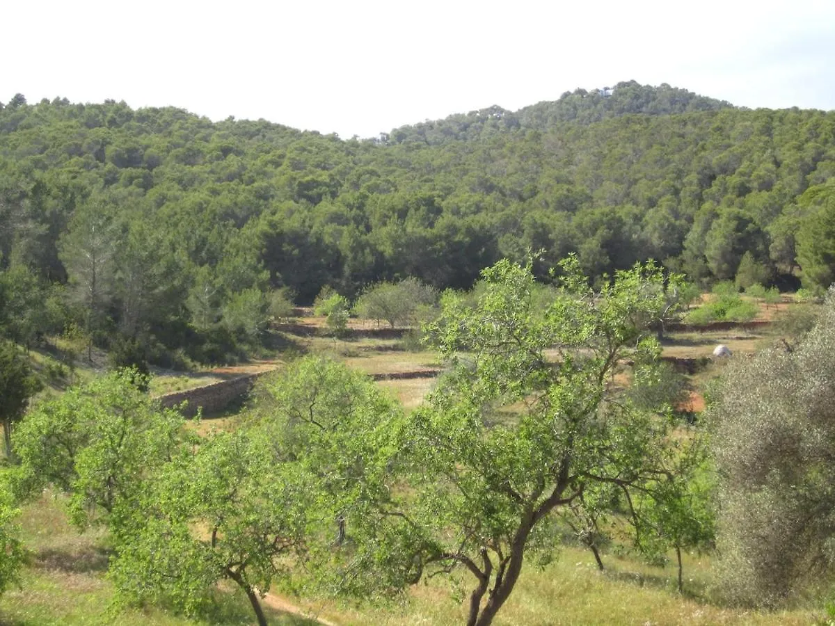 Holiday home Sa Tanca Den Marines Etv 1272 E Villa Sant Carles de Peralta