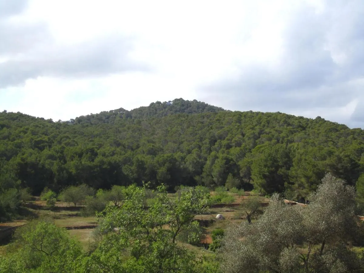 Sa Tanca Den Marines Etv 1272 E Villa Sant Carles de Peralta 0*,  Spain