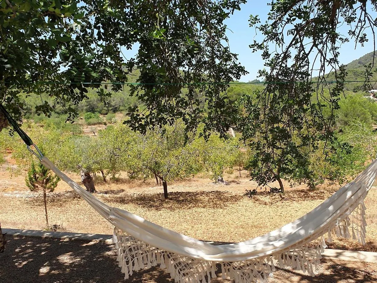 Holiday home Sa Tanca Den Marines Etv 1272 E Villa Sant Carles de Peralta Spain