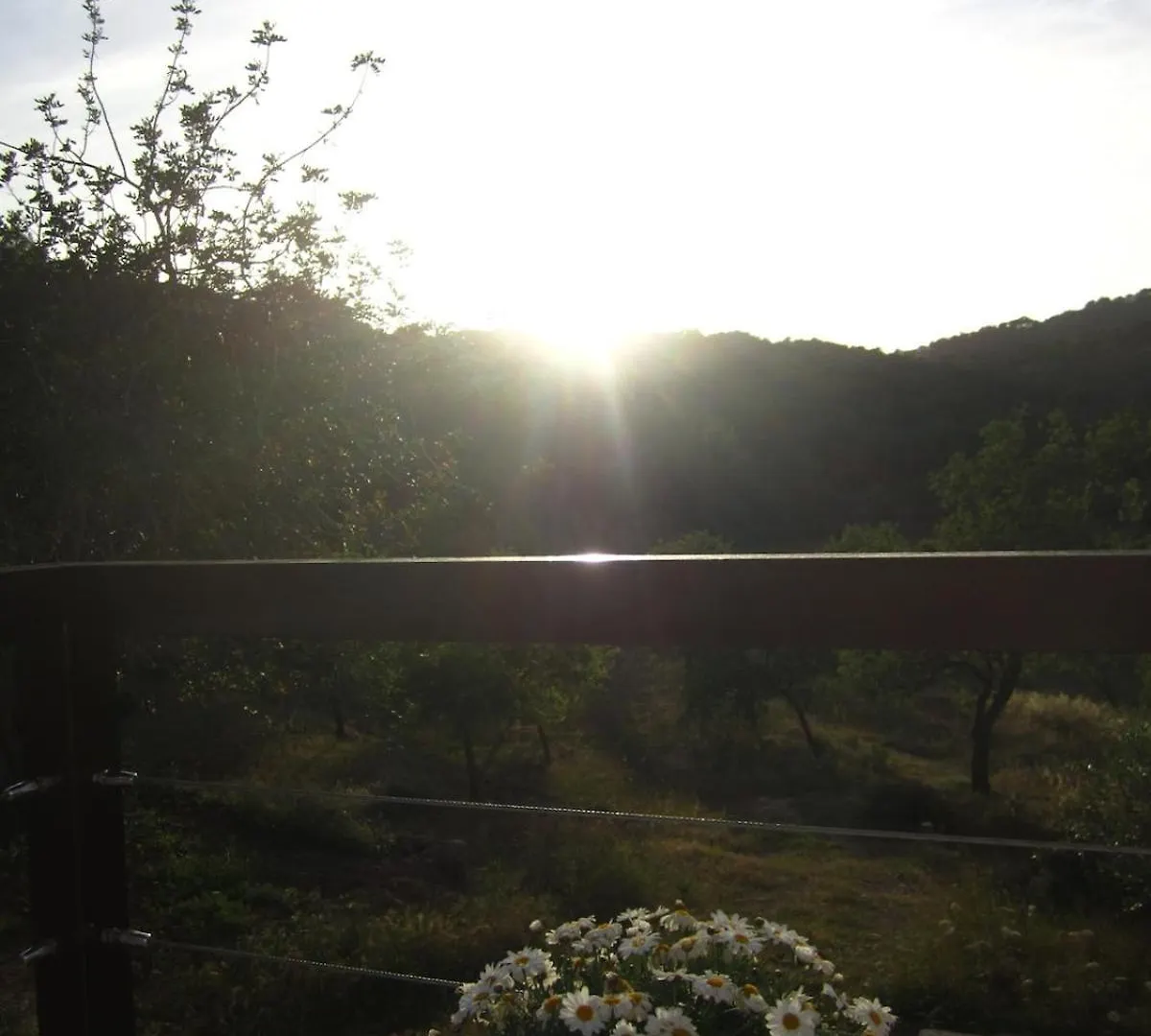 Sa Tanca Den Marines Etv 1272 E Villa Sant Carles de Peralta